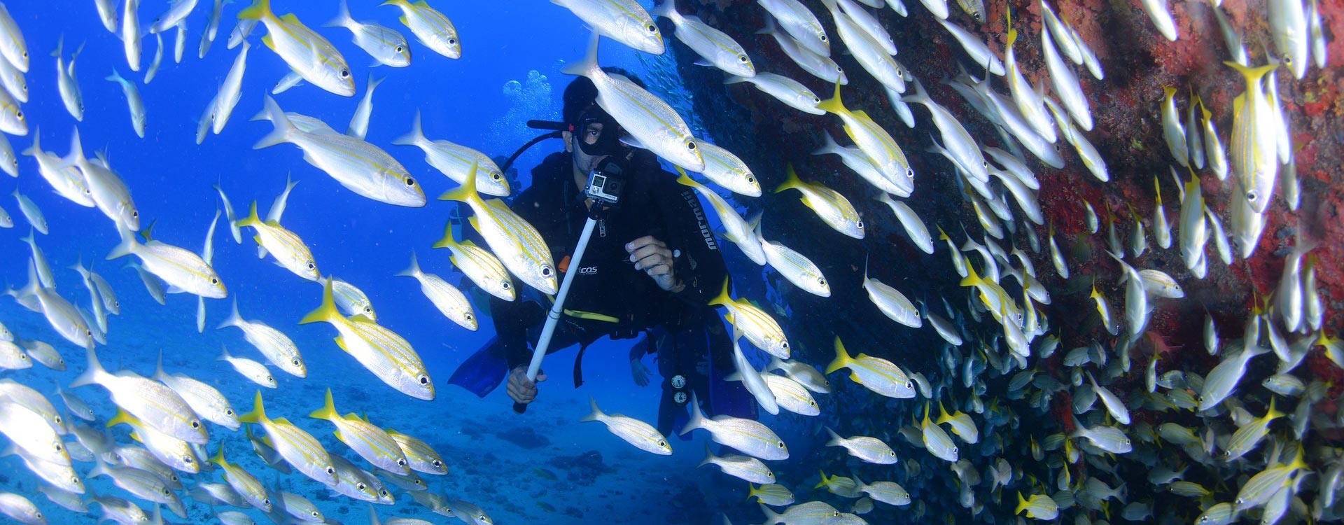 Turista buceando en Don Pedro (Ibiza) rodeado de peces